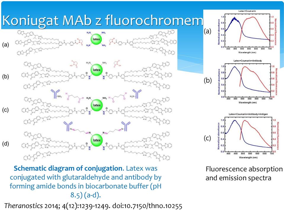 bonds in biocarbonate buffer (ph 8.5) (a-d).