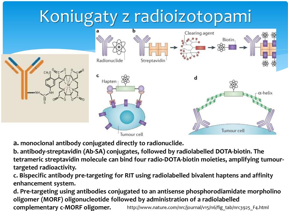 The tetrameric streptavidin molecule can bind four radio-dota-biotin moieties, amplifying tumourtargeted radioactivity. c. Bispecific antibody pre-targeting for RIT using radiolabelled bivalent haptens and affinity enhancement system.