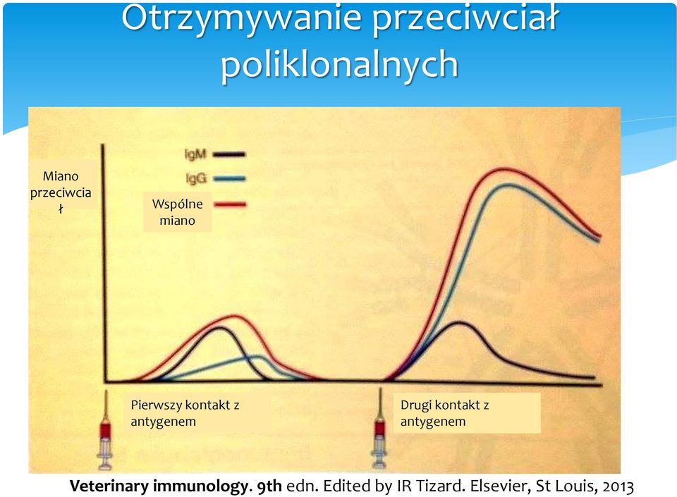 antygenem Drugi kontakt z antygenem Veterinary