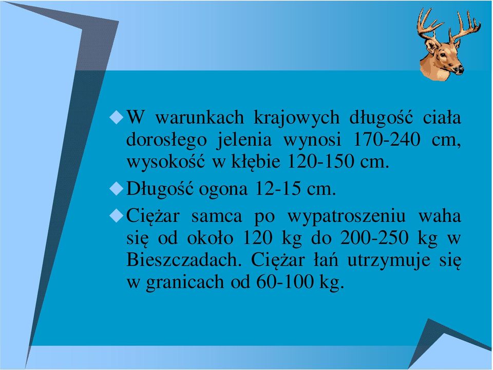 Ciężar samca po wypatroszeniu waha się od około 120 kg do 200-250