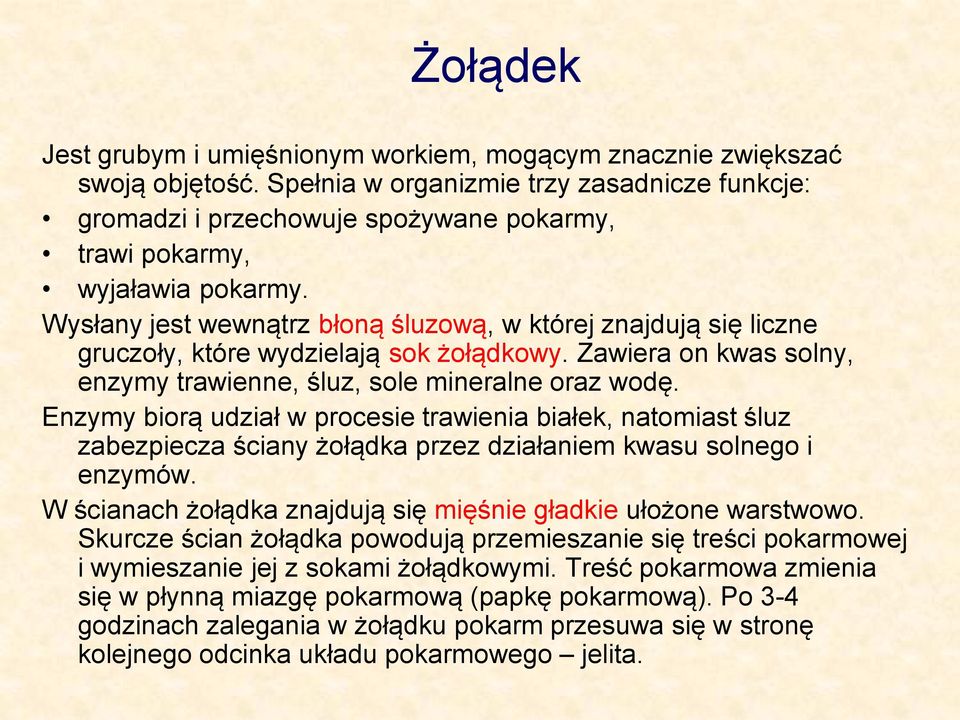 Wysłany jest wewnątrz błoną śluzową, w której znajdują się liczne gruczoły, które wydzielają sok żołądkowy. Zawiera on kwas solny, enzymy trawienne, śluz, sole mineralne oraz wodę.