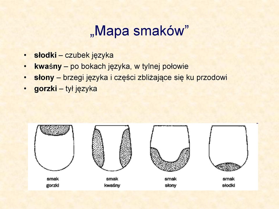 połowie słony brzegi języka i części