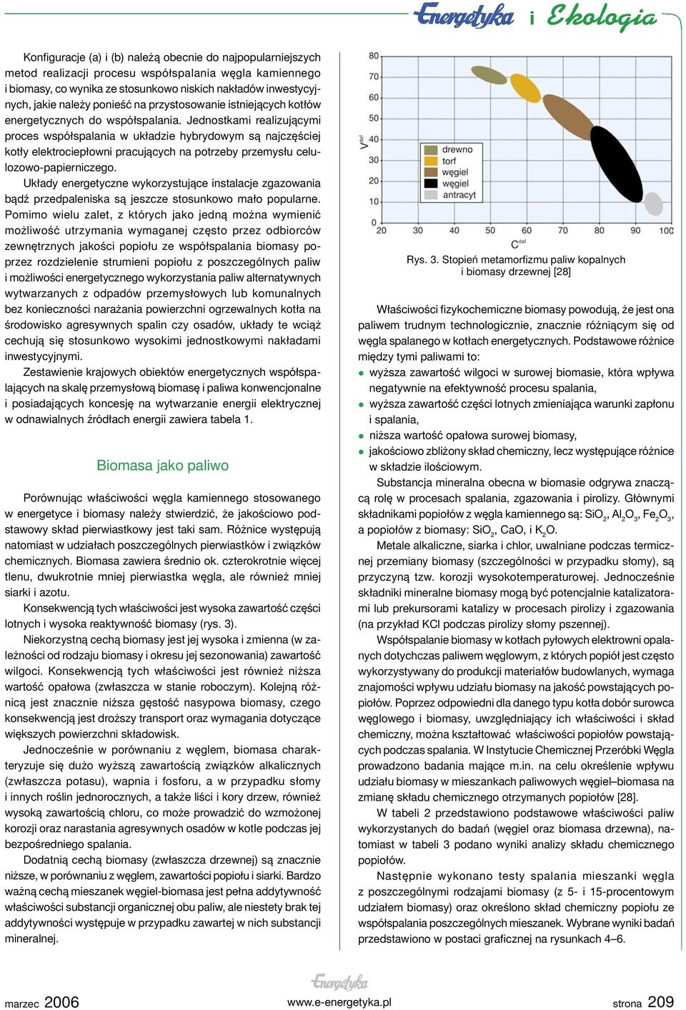 Jednostkami realizującymi proces współspalania w układzie hybrydowym są najczęściej kotły elektrociepłowni pracujących na potrzeby przemysłu celulozowo-papierniczego.