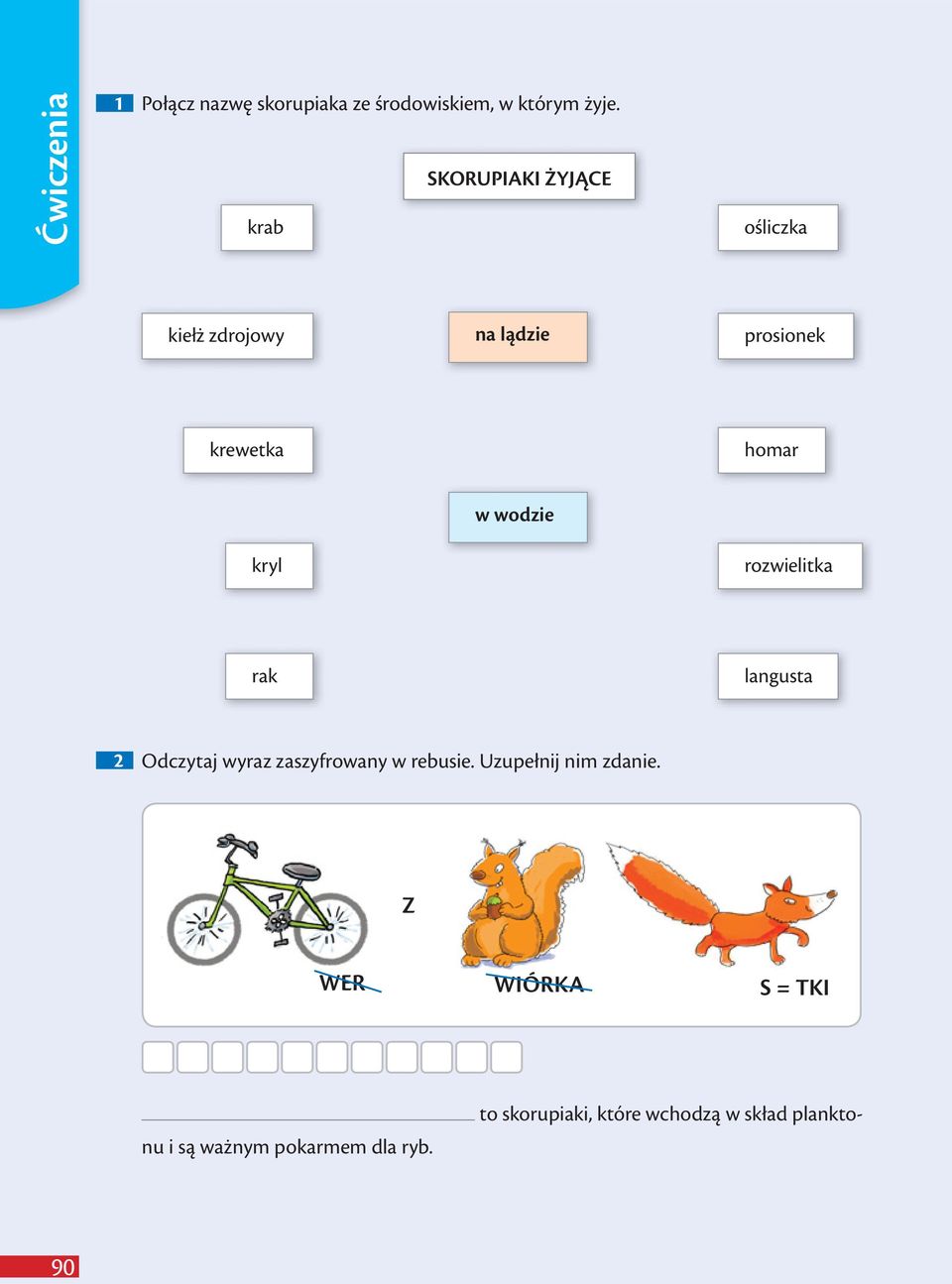 w wodzie rozwielitka rak langusta 2 Odczytaj wyraz zaszyfrowany w rebusie.