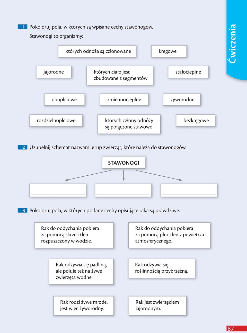 których człony odnóży są połączone stawowo bezkręgowe 2 Uzupełnij schemat nazwami grup zwierząt, które należą do stawonogów.