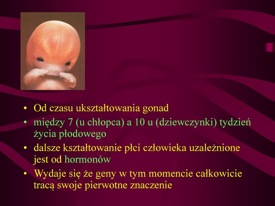 płci człowieka uzależnione jest od hormonów Wydaje się że