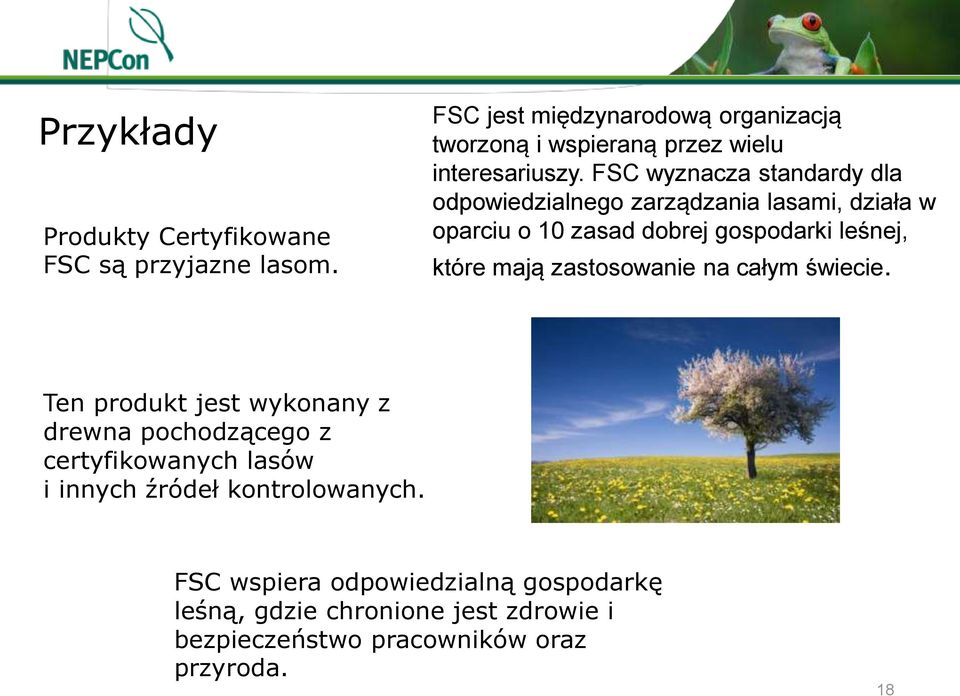 FSC wyznacza standardy dla odpowiedzialnego zarządzania lasami, działa w oparciu o 10 zasad dobrej gospodarki leśnej, które mają