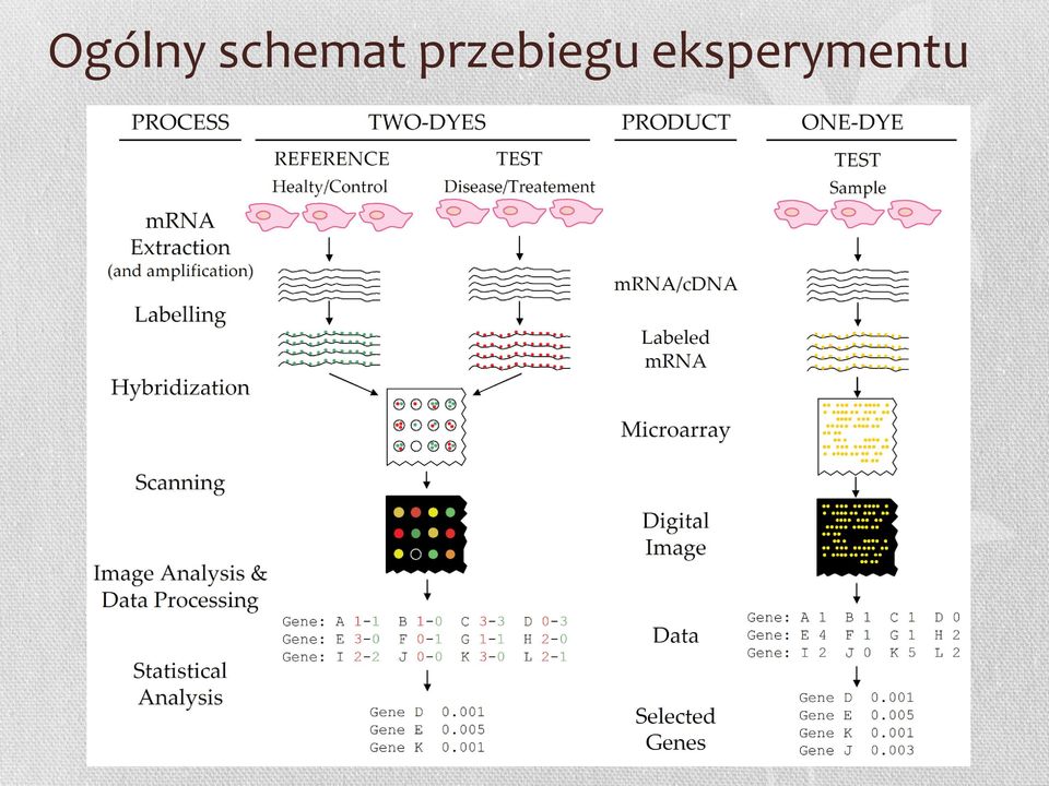 przebiegu