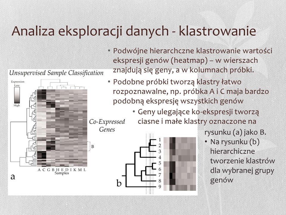 Podobne próbki tworzą klastry łatwo rozpoznawalne, np.