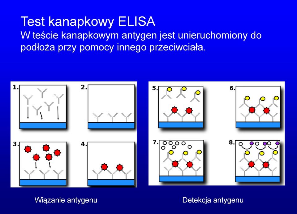 unieruchomiony do podłoża przy