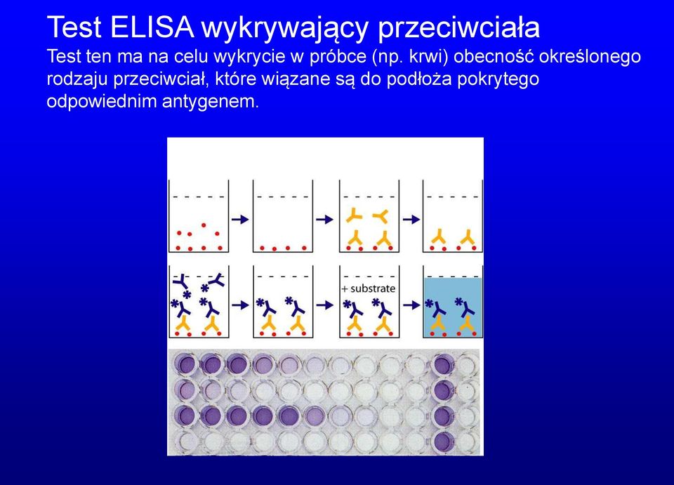 krwi) obecność określonego rodzaju