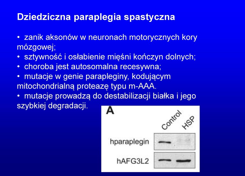 autosomalna recesywna; mutacje w genie parapleginy, kodującym mitochondrialną
