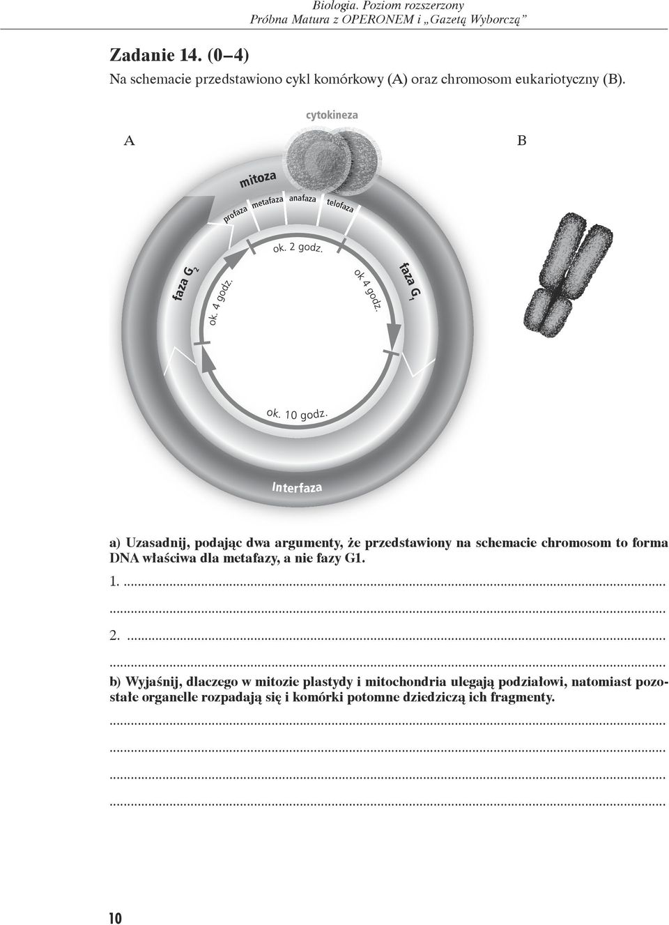 cytokineza A B za mito faza anafaza meta aza f o pr telof aza faza G 2 a G1 faz I n t er f a z a a) Uzasadnij, podając dwa argumenty, że przedstawiony na