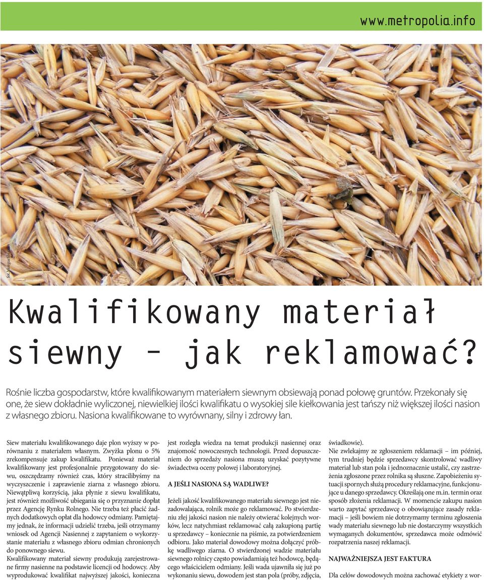 Nasiona kwalifikowane to wyrównany, silny i zdrowy łan. Siew materiału kwalifikowanego daje plon wyższy w porównaniu z materiałem własnym. Zwyżka plonu o 5% zrekompensuje zakup kwalifikatu.