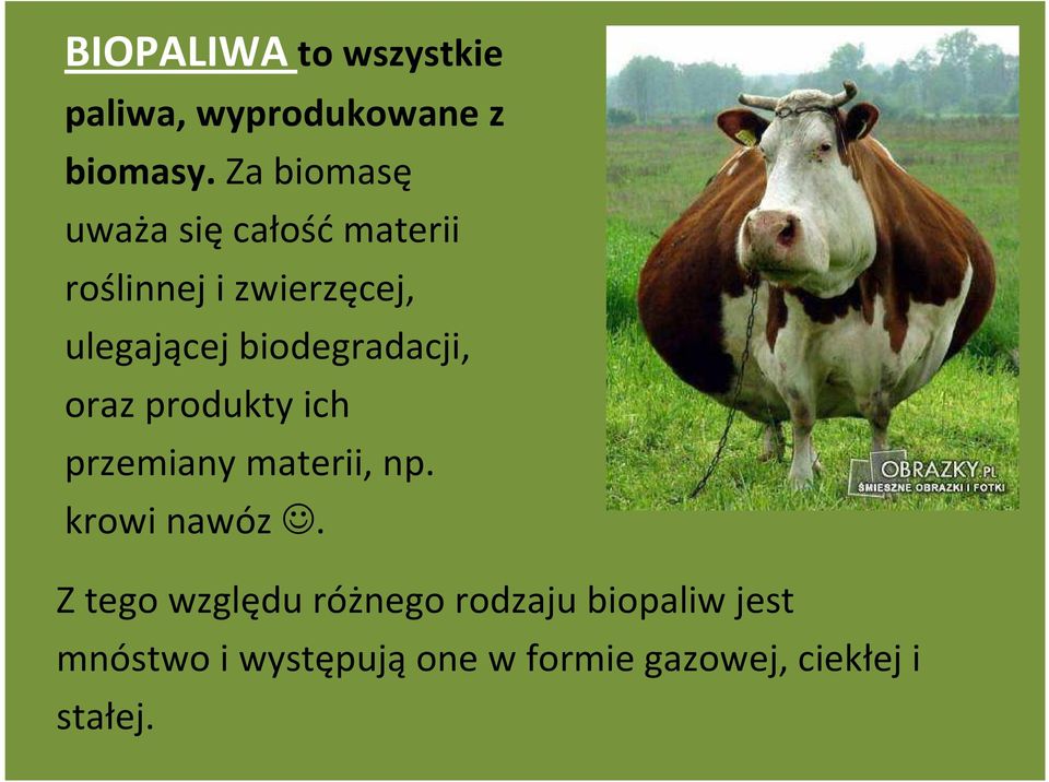 biodegradacji, oraz produkty ich przemiany materii, np. krowi nawóz.