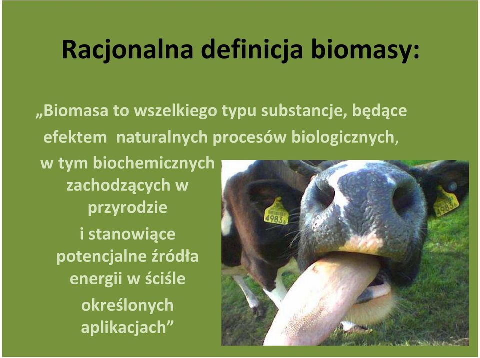 biologicznych, w tym biochemicznych zachodzących w