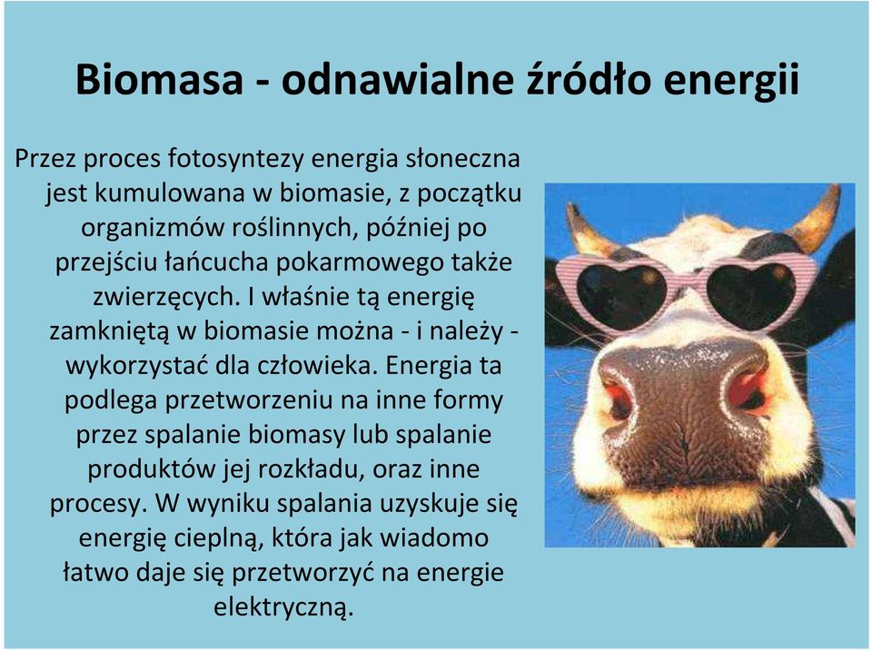 I właśnie tą energię zamkniętą w biomasie można - i należy - wykorzystać dla człowieka.