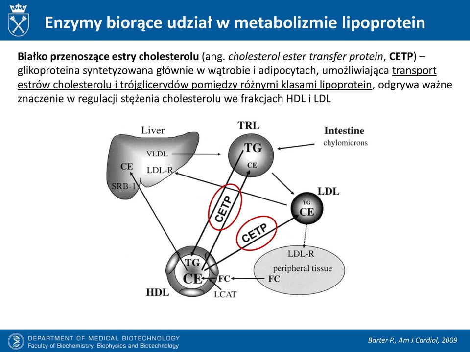 adipocytach, umożliwiająca transport estrów cholesterolu i trójglicerydów pomiędzy różnymi klasami