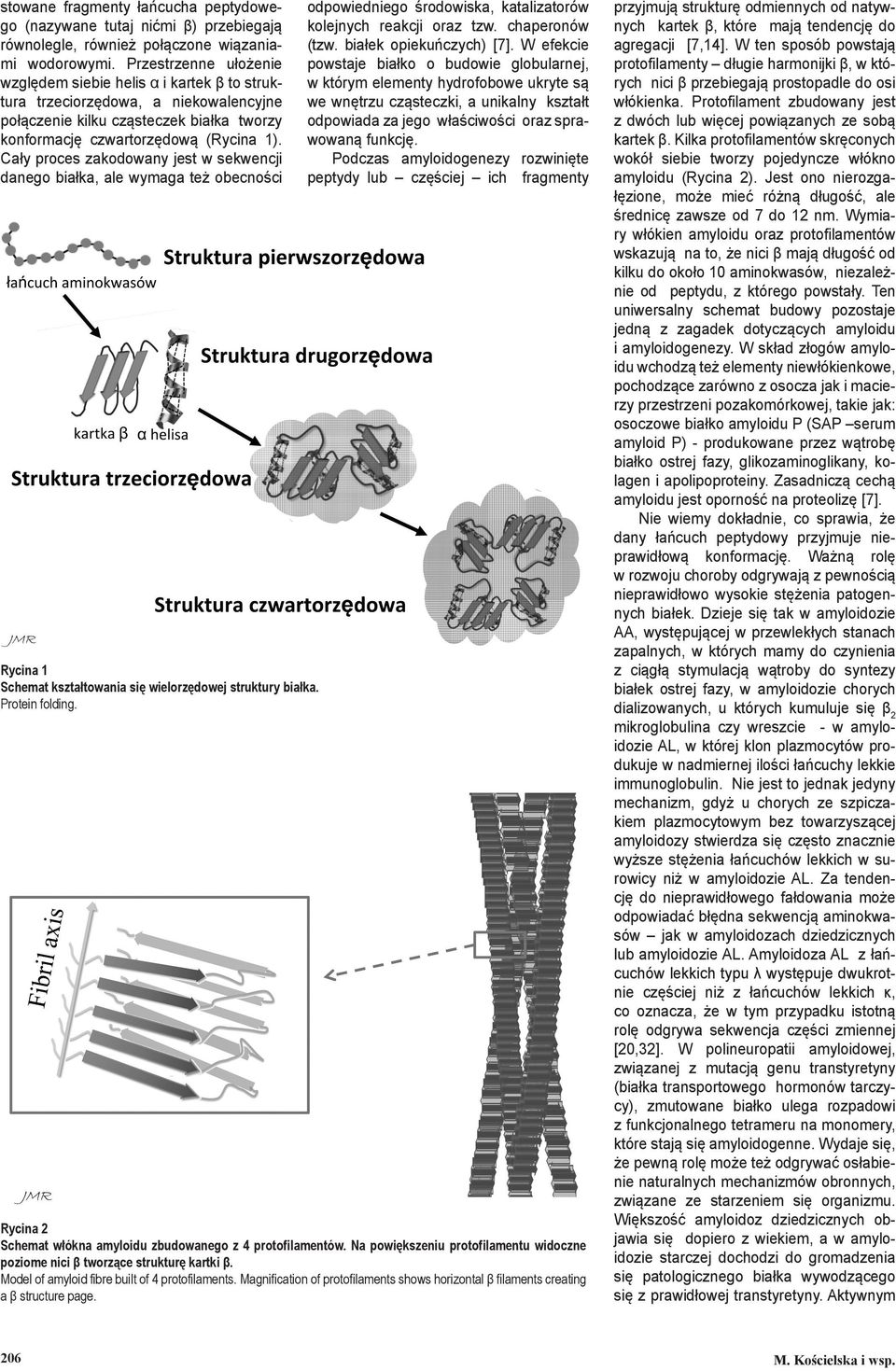 Cały proces zakodowany jest w sekwencji danego białka, ale wymaga też obecności Rycina 1 Schemat kształtowania się wielorzędowej struktury białka. Protein folding.