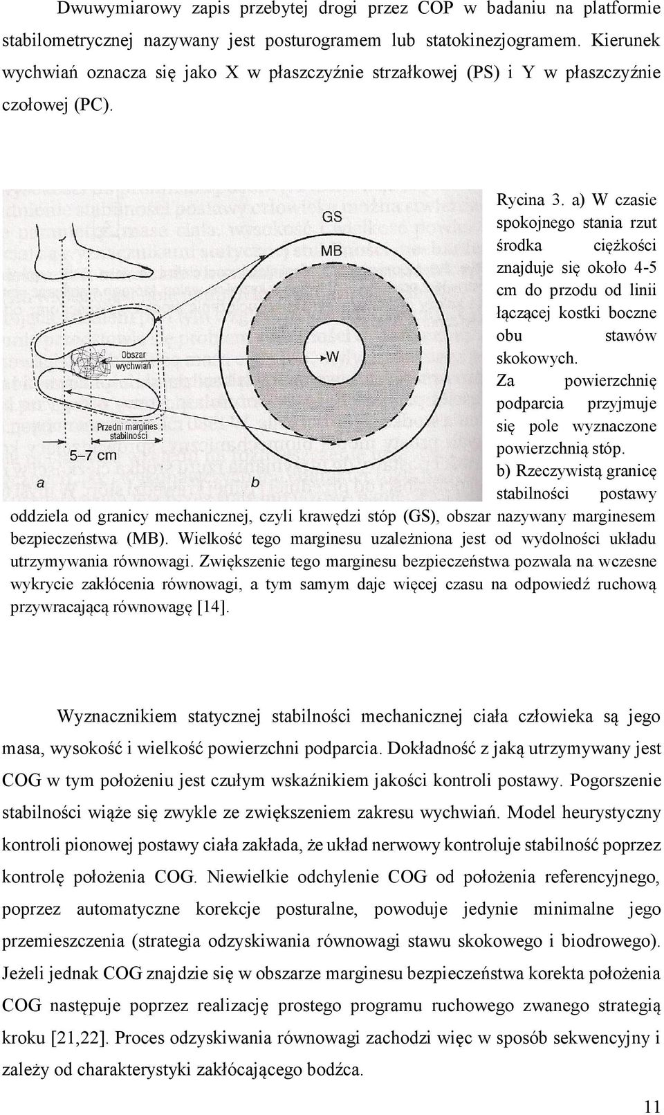 a) W czasie spokojnego stania rzut środka ciężkości znajduje się około 4-5 cm do przodu od linii łączącej kostki boczne obu stawów skokowych.