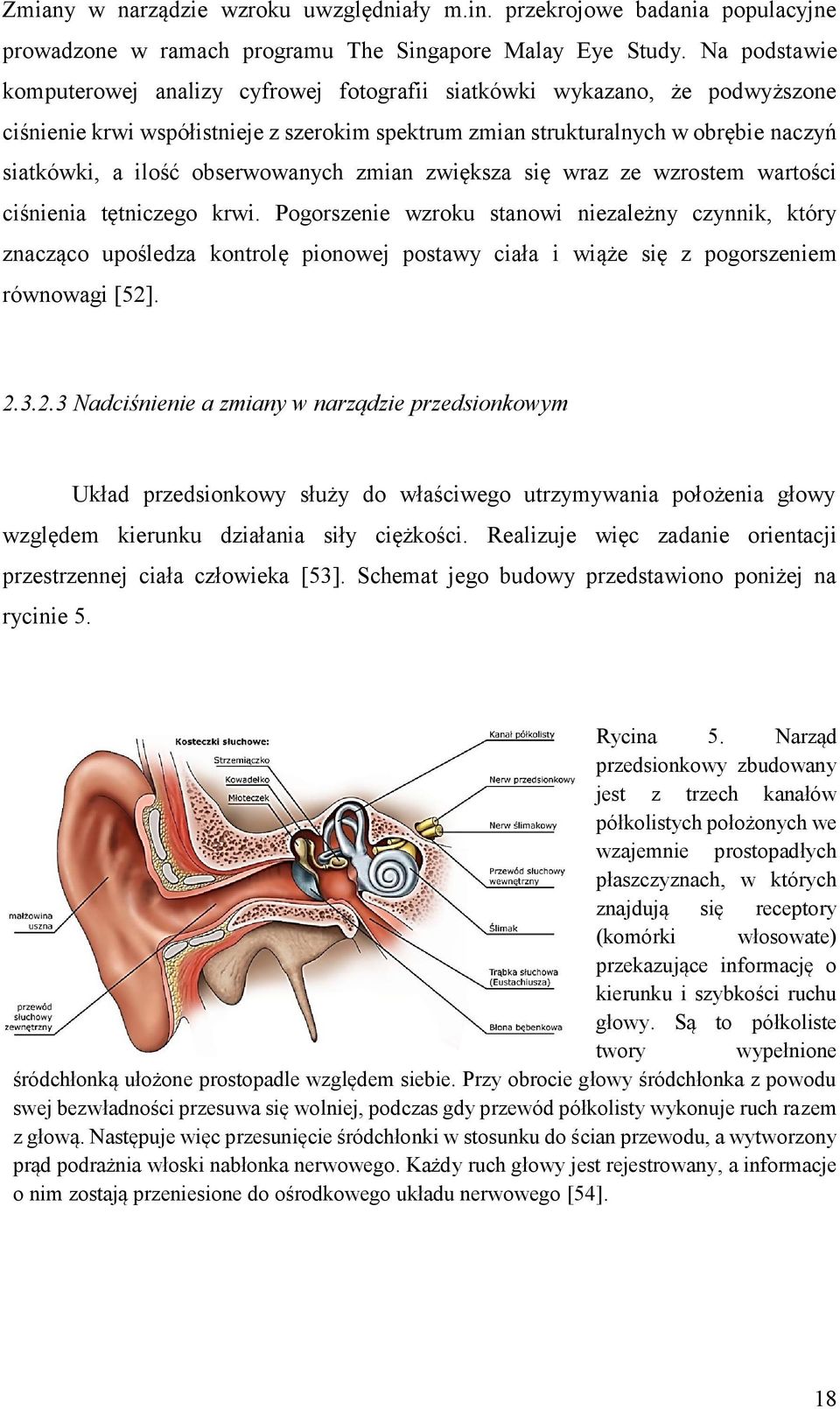 obserwowanych zmian zwiększa się wraz ze wzrostem wartości ciśnienia tętniczego krwi.