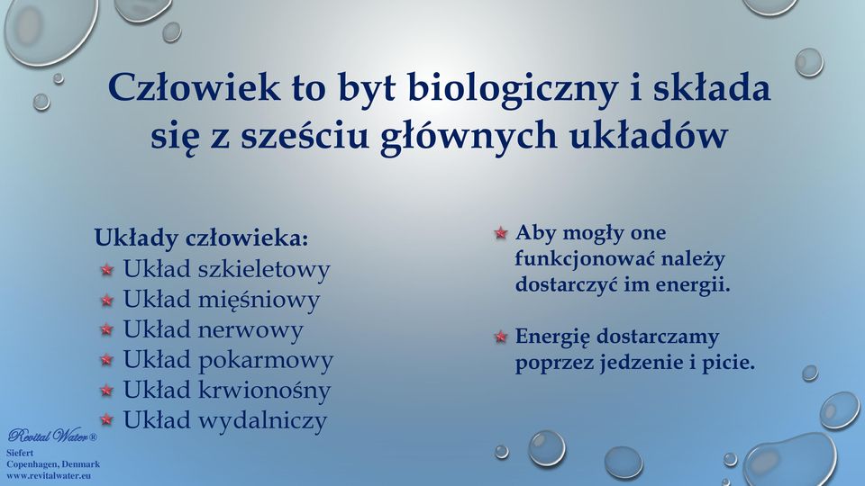 pokarmowy Układ krwionośny Układ wydalniczy Aby mogły one funkcjonować