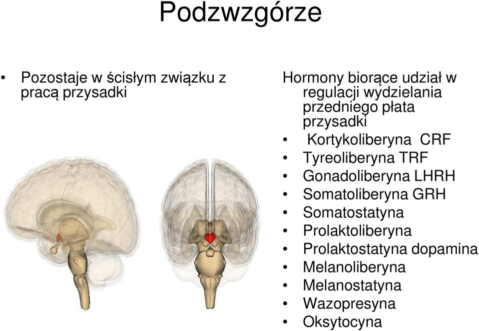 Tyreoliberyna TRF Gonadoliberyna LHRH Somatoliberyna GRH Somatostatyna