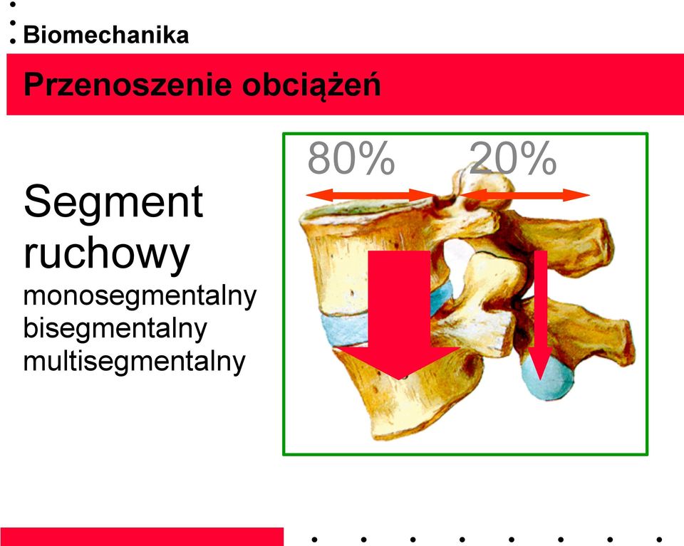 monosegmentalny