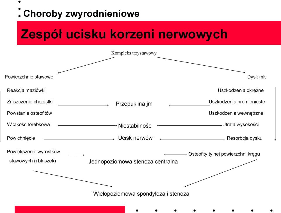 Uszkodzenia okrężne Uszkodzenia promienieste Uszkodzenia wewnętrzne Utrata wysokości Resorbcja dysku Powiększenie