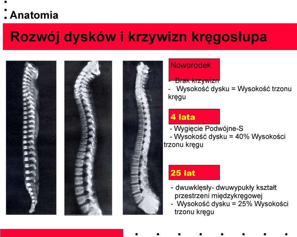 Wysokość dysku = 40% Wysokości trzonu kręgu 25 lat - dwuwklęsły-