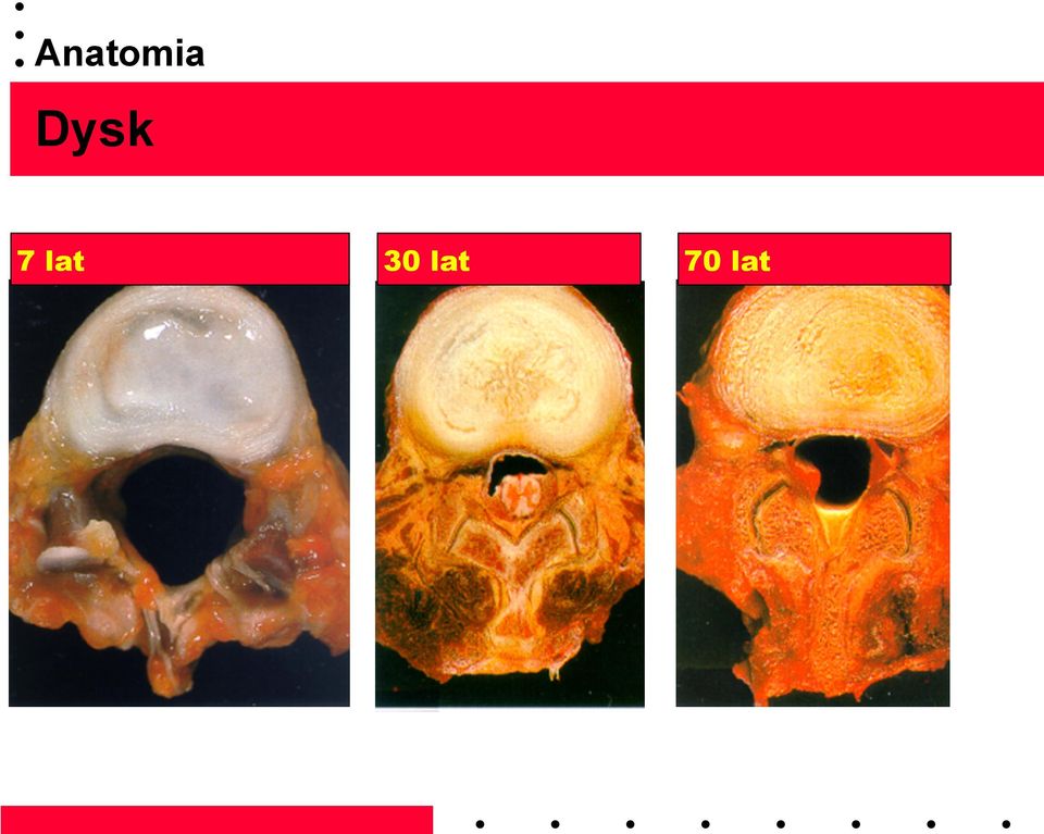 lat 30