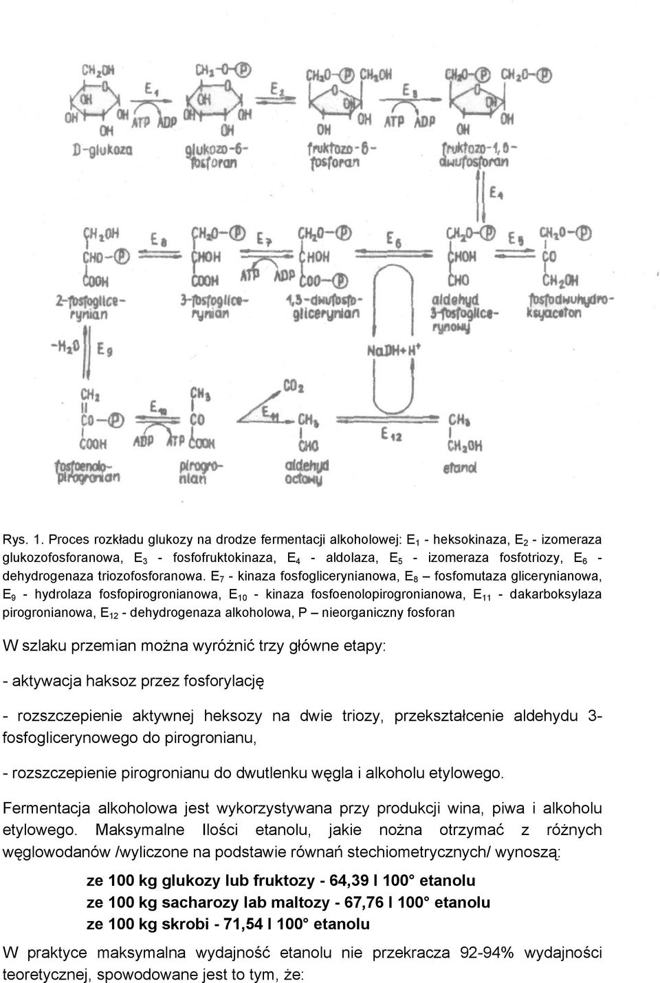 dehydrogenaza triozofosforanowa.