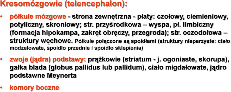 Półkule połączone są spoidłami (struktury nieparzyste: ciało modzelowate, spoidło przednie i spoidło sklepienia) zwoje (jądra)