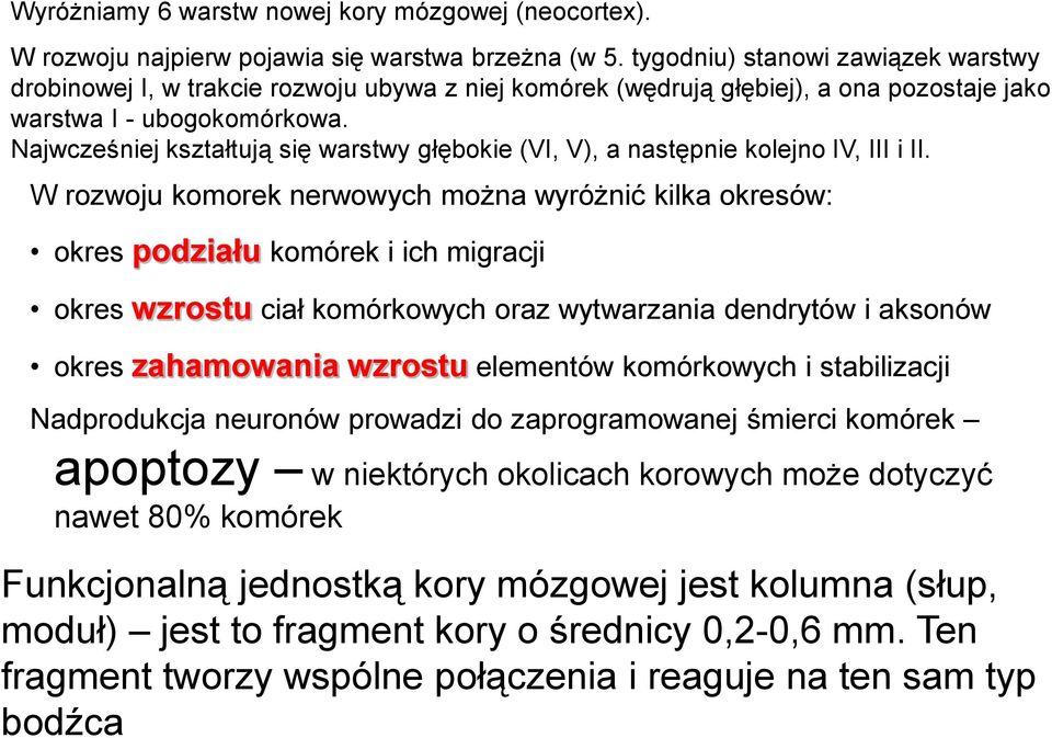 Najwcześniej kształtują się warstwy głębokie (VI, V), a następnie kolejno IV, III i II.