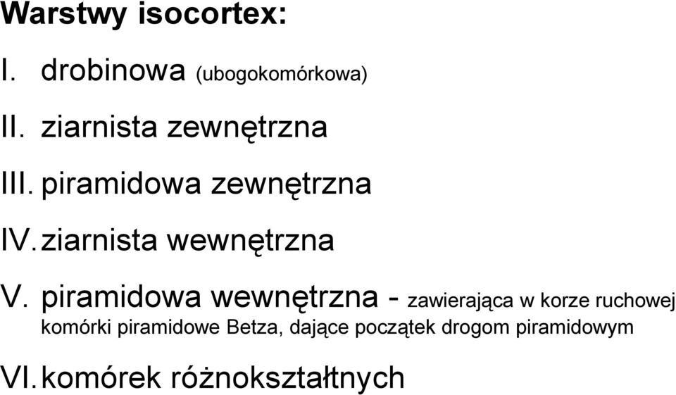 ziarnista wewnętrzna V.