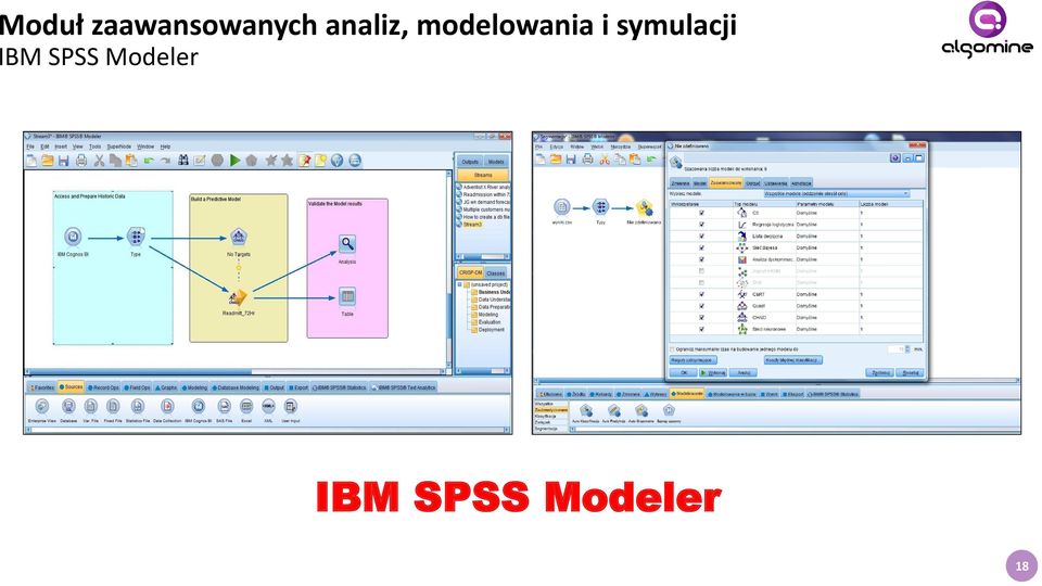 symulacji IBM SPSS