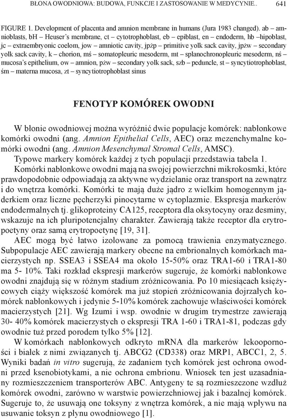 sack cavity, k chorion, mś somatopleuric mesoderm, mt splanochronopleuric mesoderm, nś mucosa s epithelium, ow amnion, pżw secondary yolk sack, szb peduncle, st syncytiotrophoblast, śm materna