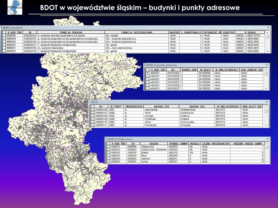 śląskim