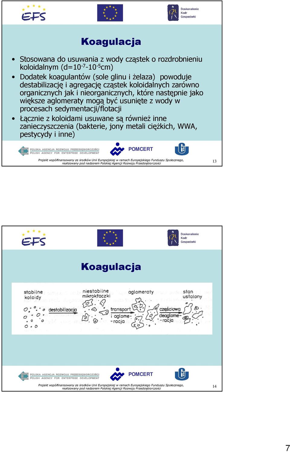 nieorganicznych, które następnie jako większe aglomeraty mogą być usunięte z wody w procesach sedymentacji/flotacji