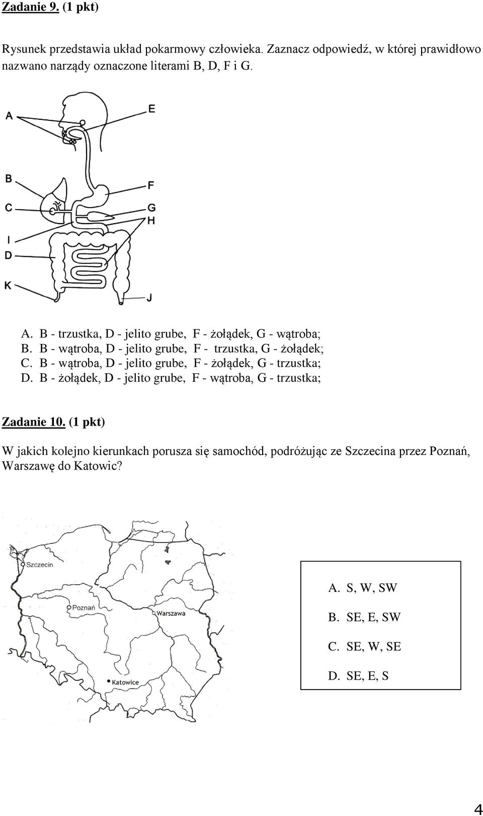 B - trzustka, D - jelito grube, F - żołądek, G - wątroba; B. B - wątroba, D - jelito grube, F - trzustka, G - żołądek; C.