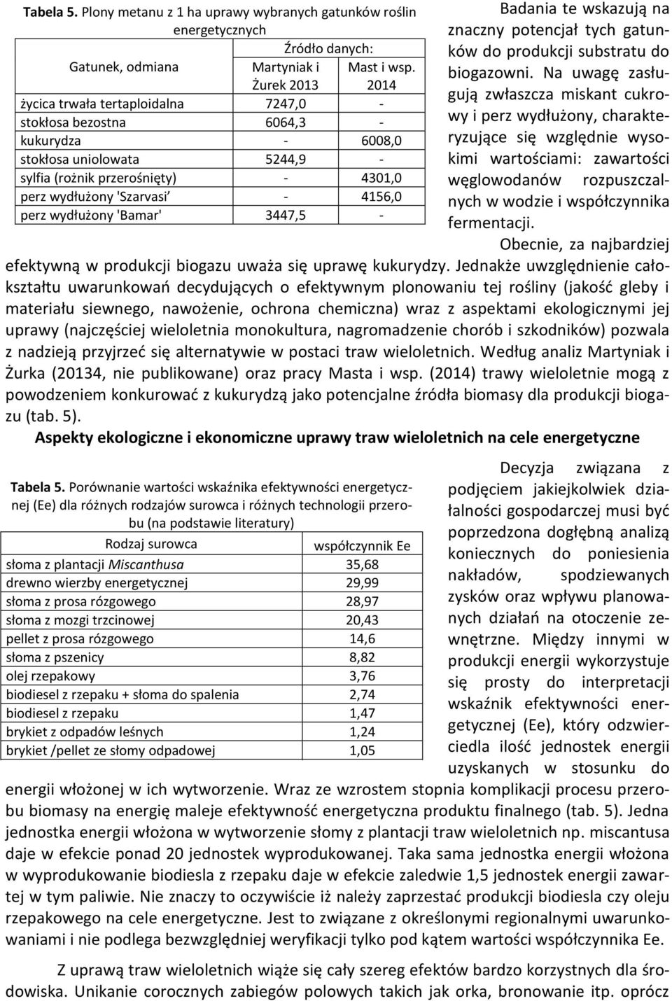 wydłużony 'Bamar' 3447,5 - Badania te wskazują na znaczny potencjał tych gatunków do produkcji substratu do biogazowni.