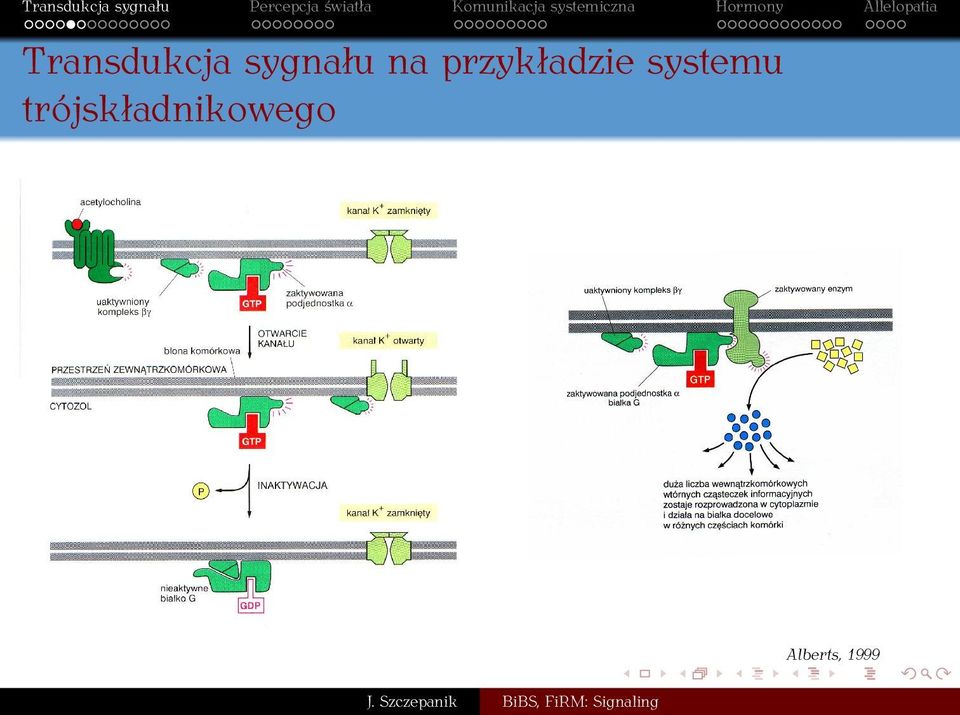 przykładzie