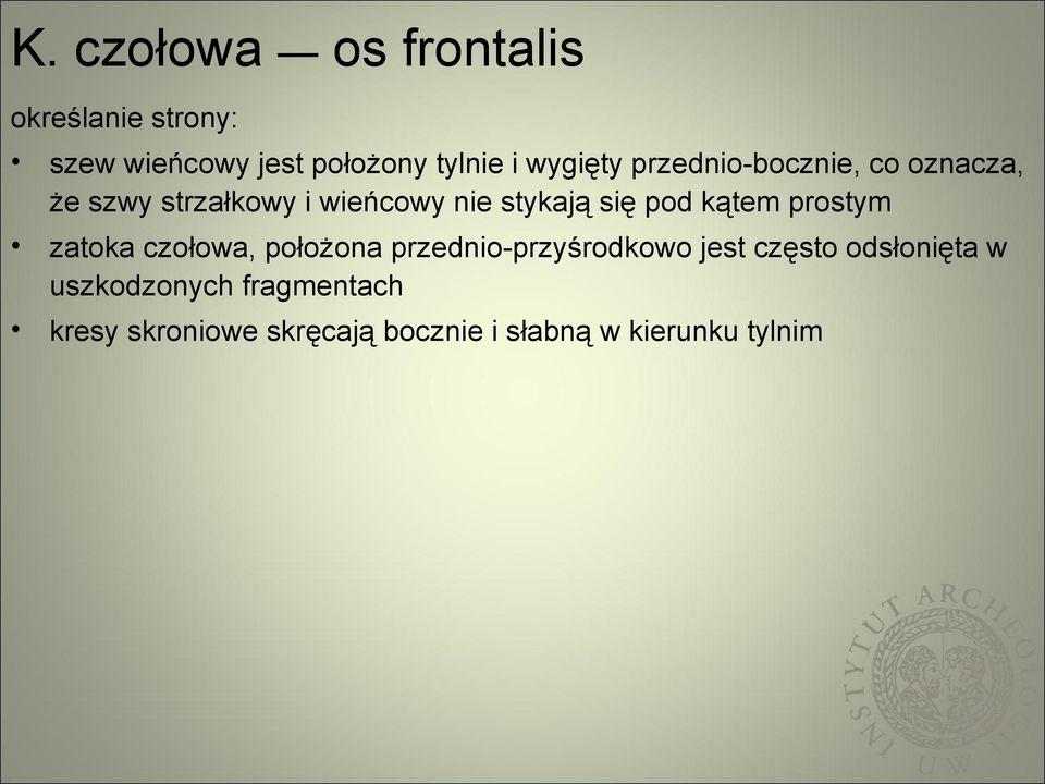 pod kątem prostym zatoka czołowa, położona przednio-przyśrodkowo jest często