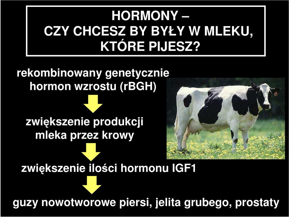 zwiększenie produkcji mleka przez krowy zwiększenie