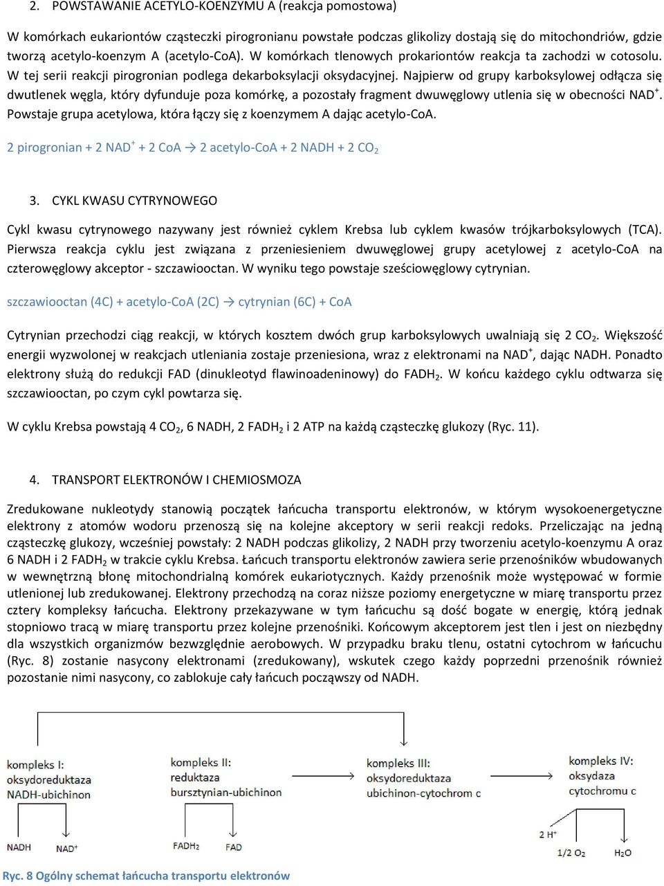 Najpierw od grupy karboksylowej odłącza się dwutlenek węgla, który dyfunduje poza komórkę, a pozostały fragment dwuwęglowy utlenia się w obecności NAD +.