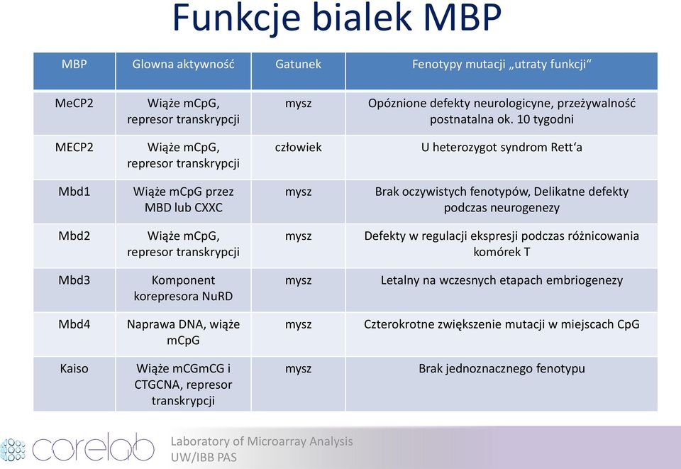 podczas neurogenezy Mbd2 Wiąże mcpg, represor transkrypcji mysz Defekty w regulacji ekspresji podczas różnicowania komórek T Mbd3 Komponent korepresora NuRD mysz Letalny na wczesnych