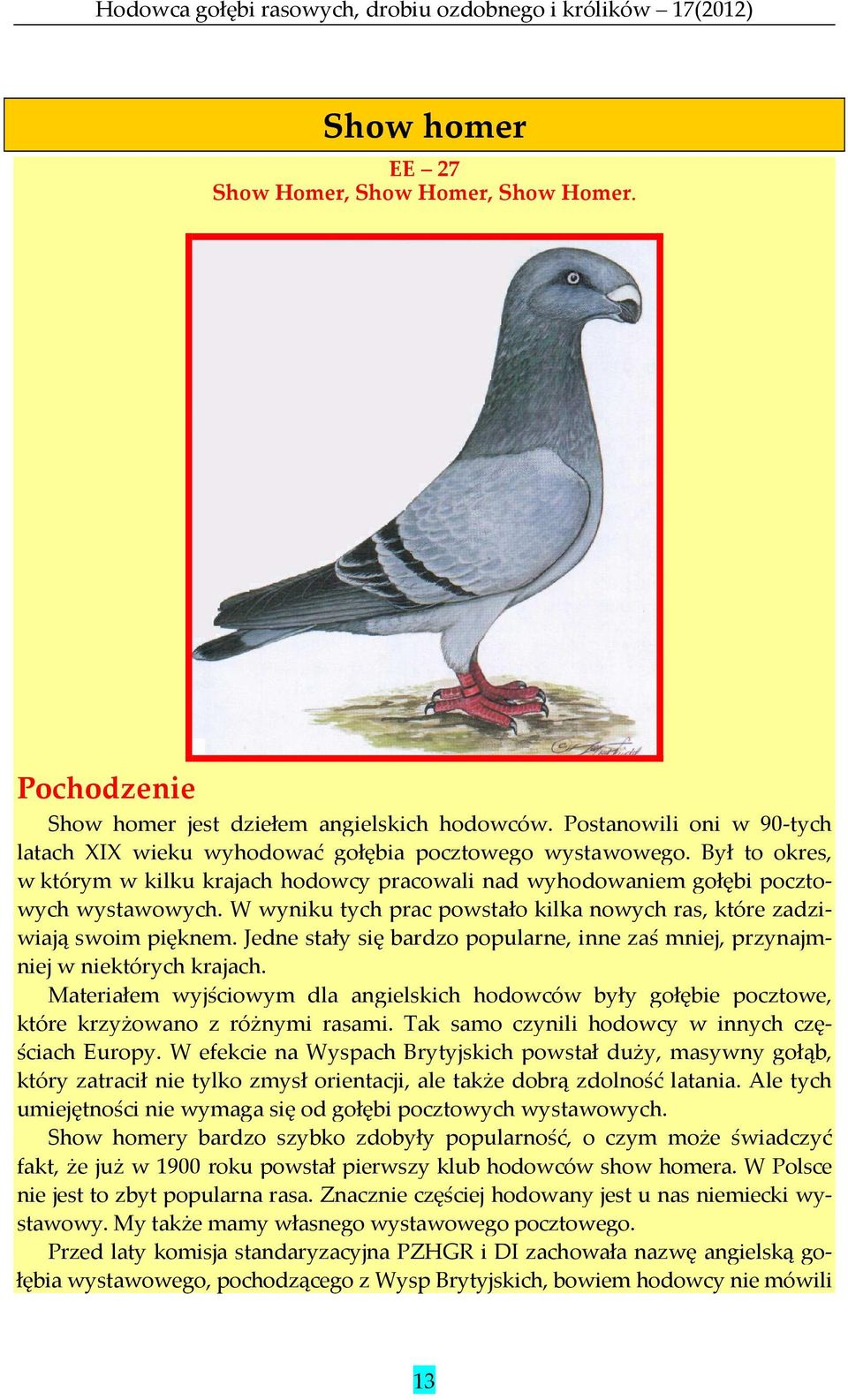 Jedne stały się bardzo popularne, inne zaś mniej, przynajmniej w niektórych krajach. Materiałem wyjściowym dla angielskich hodowców były gołębie pocztowe, które krzyżowano z różnymi rasami.