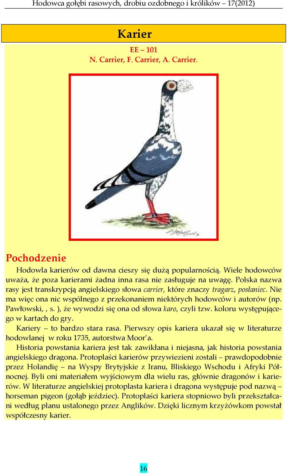 ), że wywodzi się ona od słowa karo, czyli tzw. koloru występującego w kartach do gry. Kariery to bardzo stara rasa.