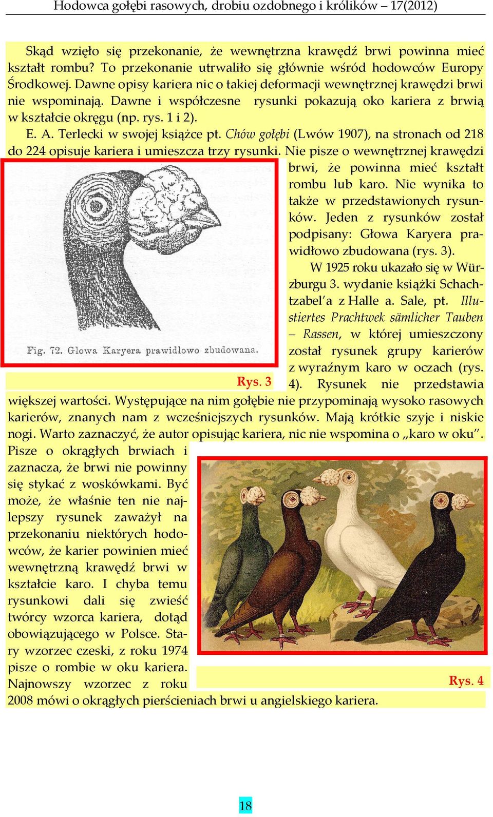 Terlecki w swojej książce pt. Chów gołębi (Lwów 1907), na stronach od 218 do 224 opisuje kariera i umieszcza trzy rysunki.