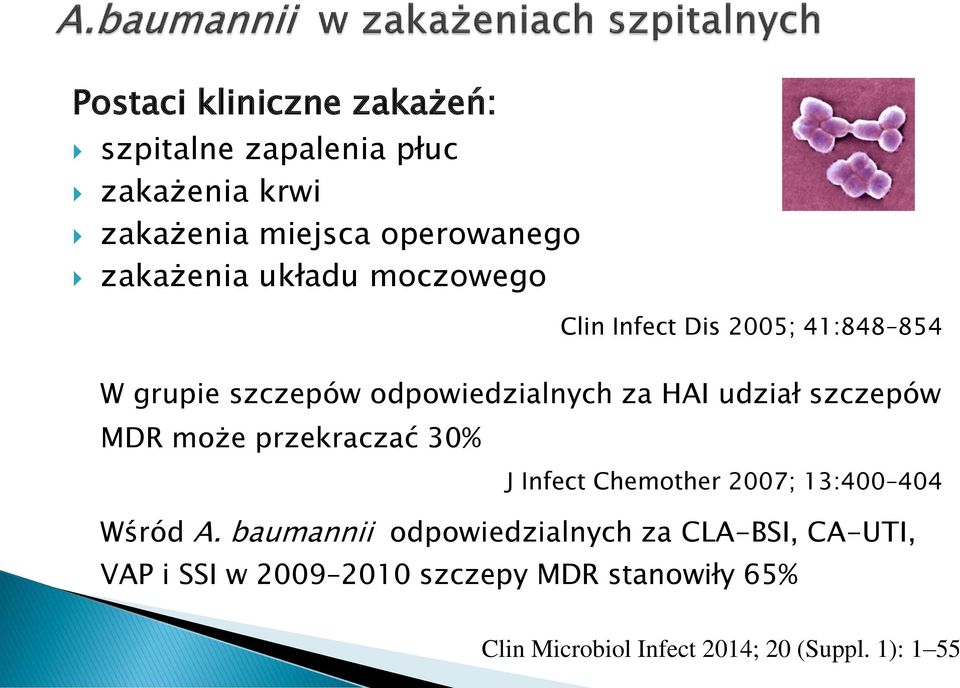 szczepów MDR może przekraczać 30% J Infect Chemother 2007; 13:400 404 Wśród A.
